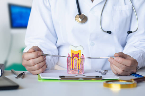 Best Emergency Treatment for Toothache in Port Dickinson, NY